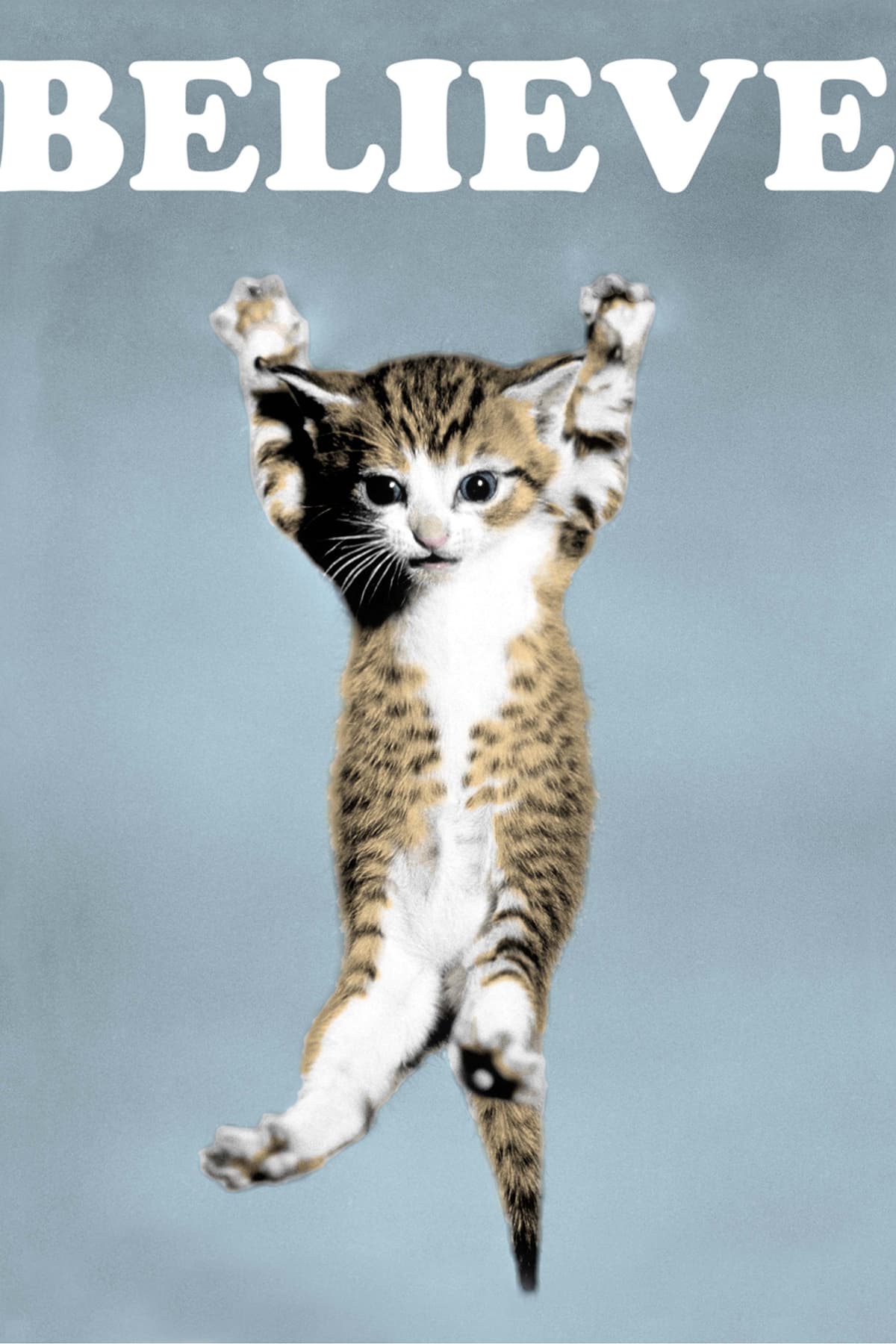 Believe Cat